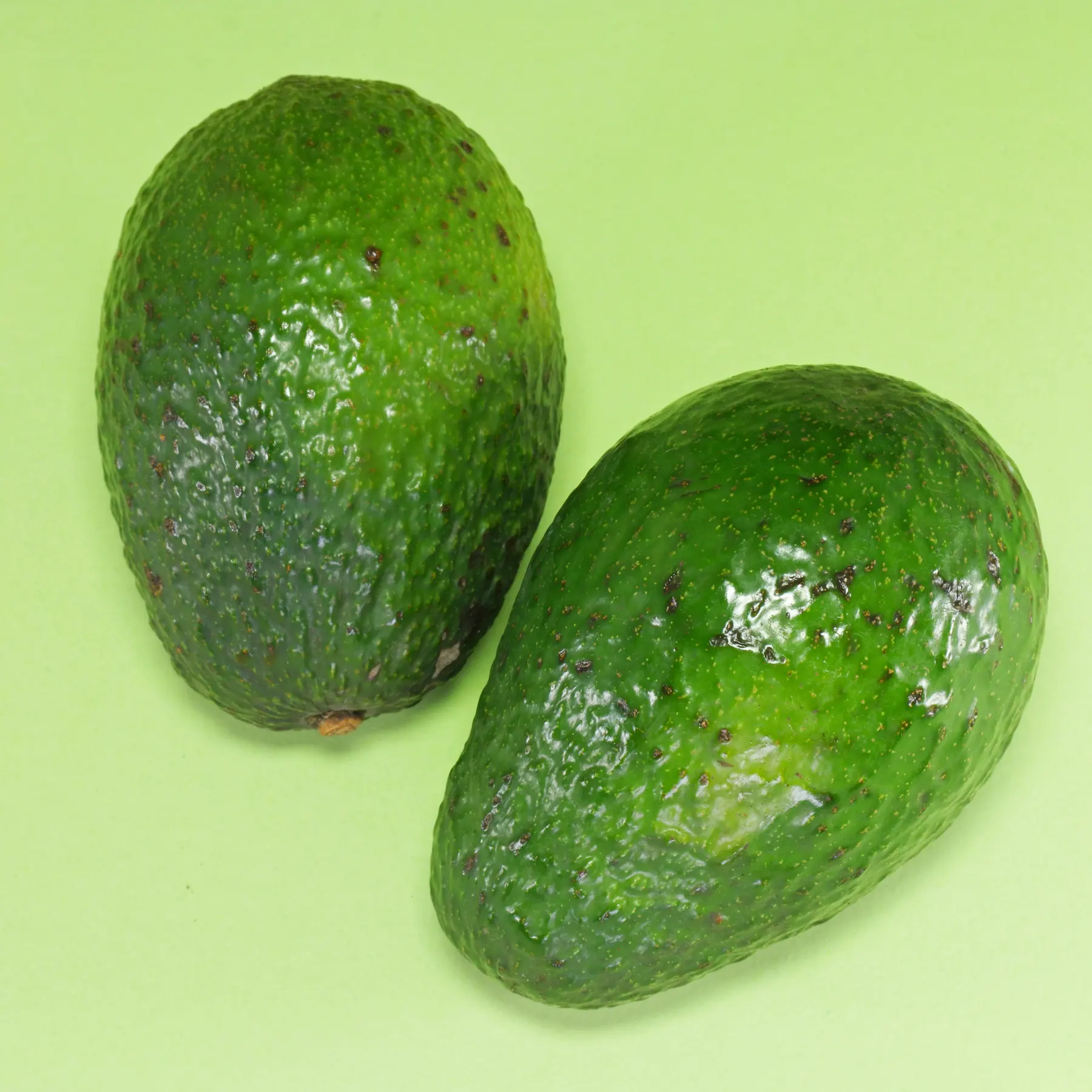 Avocats