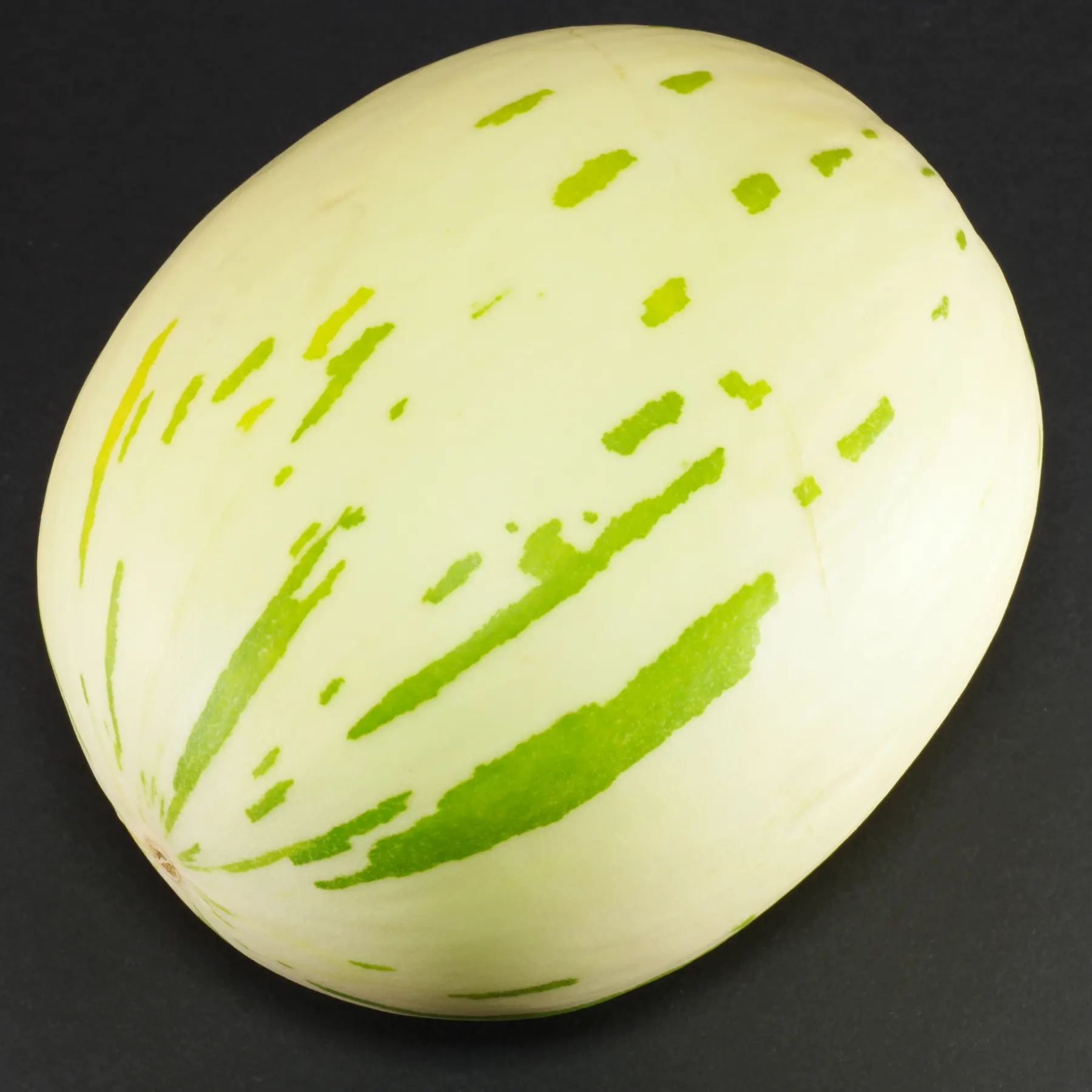 Melon Leopard